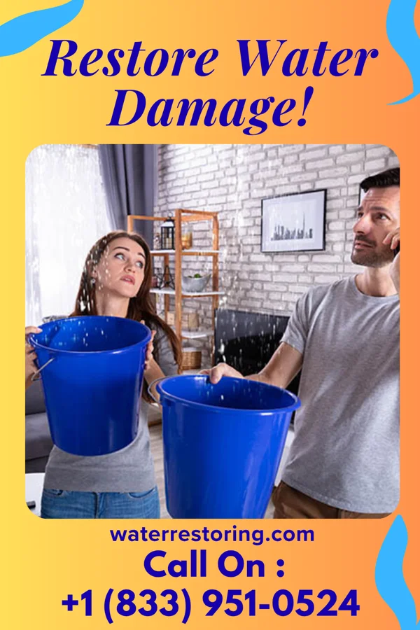 water restoration Precision Property Restoration Company Forestdale